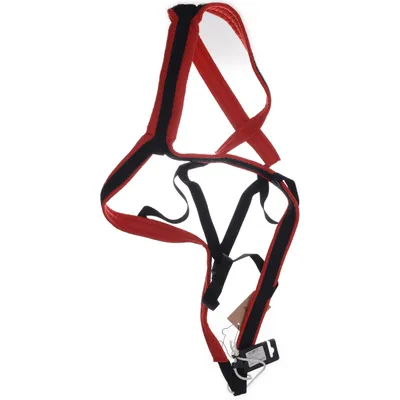 Dog accessory (Black, Red)