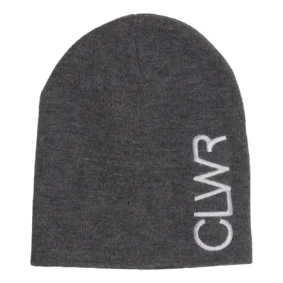 Beanie (Grijs) van Colour Wear Acryl
