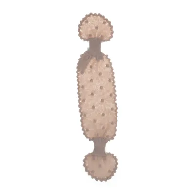 Scarf (Beige) from Mini a Ture Wool