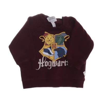 Collegetröja (Lila, Flerfärgad) från Harry Potter x H&M Bomull, Elastan, Polyester