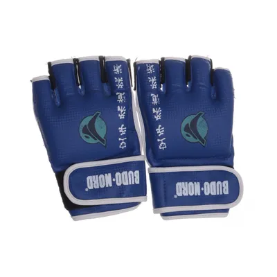 Boxningshandskar (Blå, Flerfärgad) från Budo-Nord