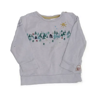 Sweatshirt (Grijs, Meerkleurig) van Zara BabyBoy