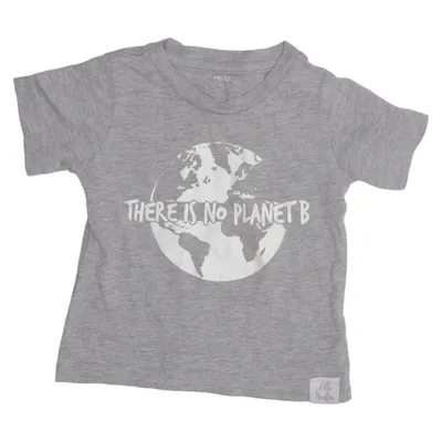 T-shirt (Grå) från Lilla Busfrö