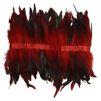 Costume accessories (Red, Black)