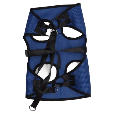 Harnais pour chien (Bleu)