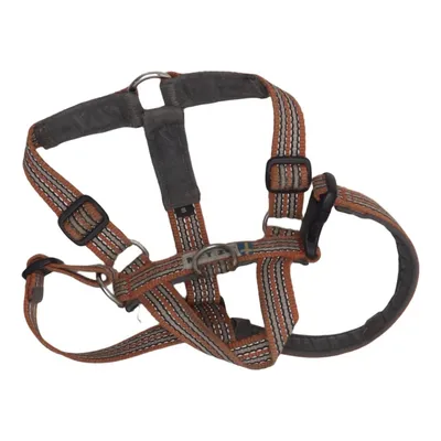Hundsele (Orange, Grå, Svart) från Metizo