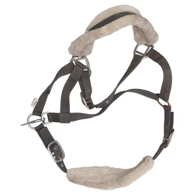 Halter (Brown, Beige) from Hkm Sports