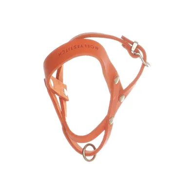 Honden halsband (Oranje) van Molly and Stitch