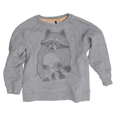 Sweatshirt (Gris) de Filemon Kid Coton biologique
