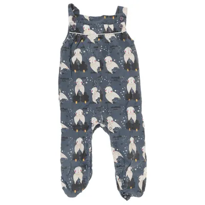 Dungarees (Gray, Multicolored) from Little Green Radicals