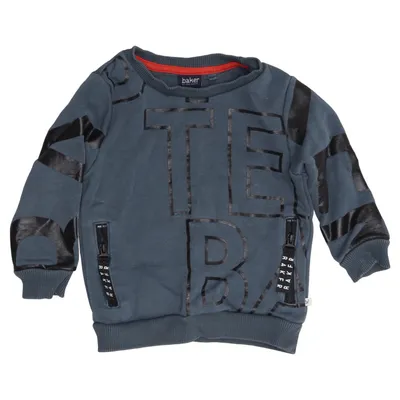 Sweatshirt (Gris) de Baker by Ted Baker Coton, Polyester