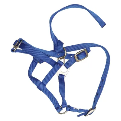Halster (Blauw)