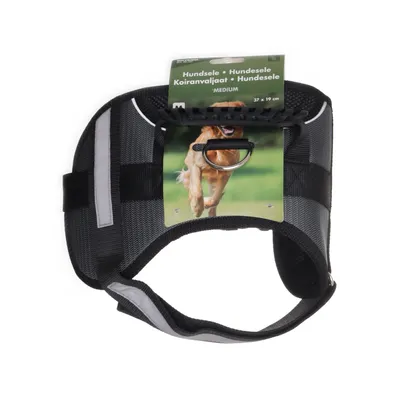Accessoire pour chien (49-187) de Biltema
