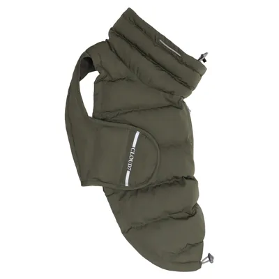 Hundkläder (Grön) från Cloud7 Polyuretan, Återvunnen polyester