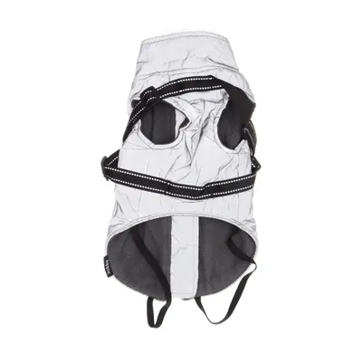Dog clothes (Gray, Silver) from Nobby