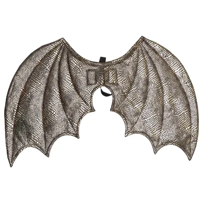 Costume accessories (Gold, Black)
