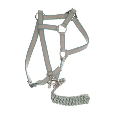 Grimma (Grön, Beige) från Amigo by Horseware