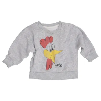 Sweatshirt (Grå, Flerfarvet) fra Mini Mini