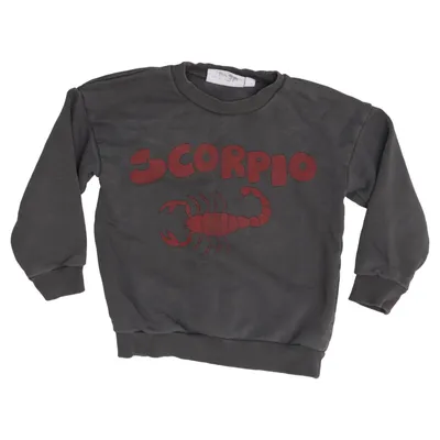 Sweatshirt (Gray, Red) from Mini Rodini Organic cotton