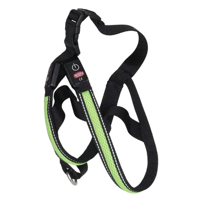 Dog harness (Black, Green) from Nobby