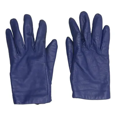 Leren handschoenen (Blauw)