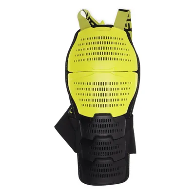 Back protector (Black, Green) from Wedze