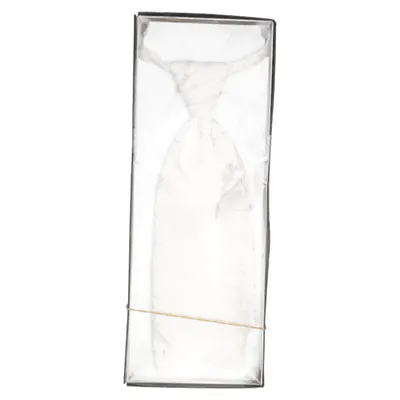 Cravate foulard (Beige) de Wilvorst Polyester