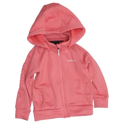 Hoodie (Pink) from Didriksons Elastane, Polyester