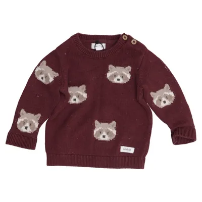 Pull-over (Violet) de Newbie by KappAhl Coton