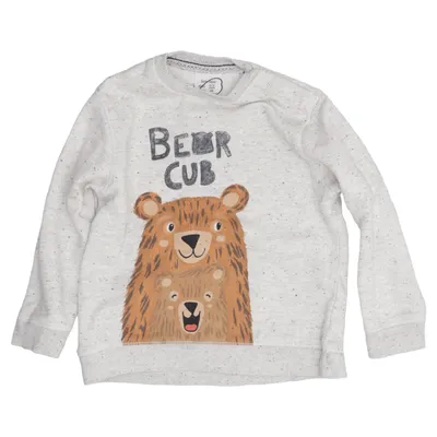 Sweatshirt (Grå, Flerfarvet) fra Zara Baby