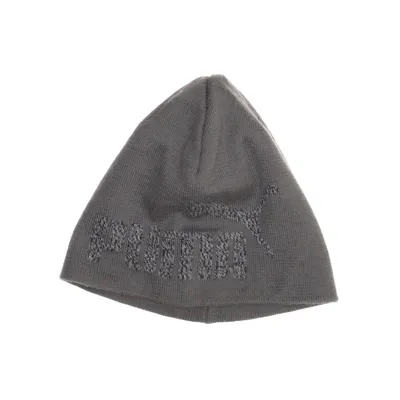 Chapeau (Gris) de Puma
