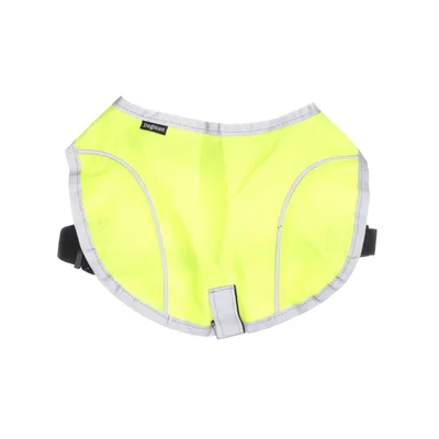 Hundsele (Gul, Flerfärgad) från Dogman