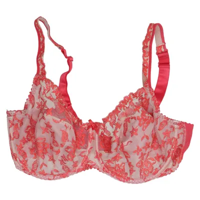 Bh (Rood) van Primadonna