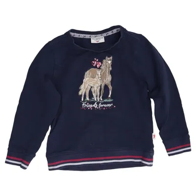 Sweatshirt (Blue) from Salt and Pepper Cotton, Elastane