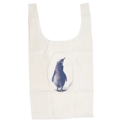 Canvas bag (Grocery Bag) from Wild Organic cotton
