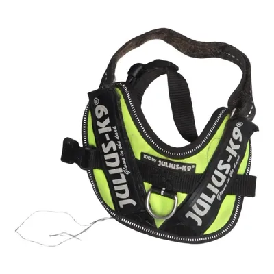 Hundsele (Idc) från Julius K9