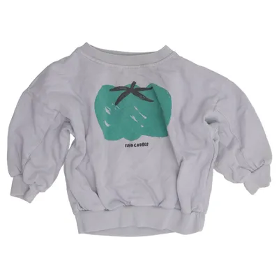 Sweatshirt (Gray, Green) from Bobo Choses Organic cotton