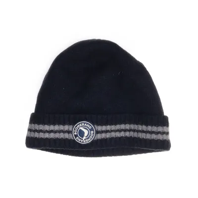 Beanie (Blue, Gray) from Boomerang Merino wool