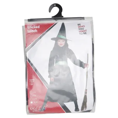 Fancy dress (Wicked Witch) from Wicked Costumes
