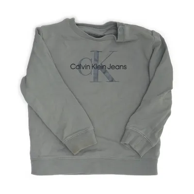 Sweatshirt (Green) from Calvin Klein Jeans Cotton, Elastane