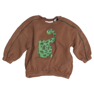 Sweatshirt (Brown, Green) from Mini Rodini Cotton