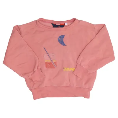 Sweatshirt (Pink) von The Animals Observatory