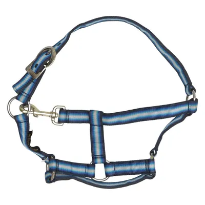 Halster (Blauw, Meerkleurig) van Globus Sport