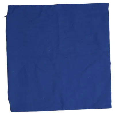 Sierkussensloop (Blauw) van H&M Home Katoen