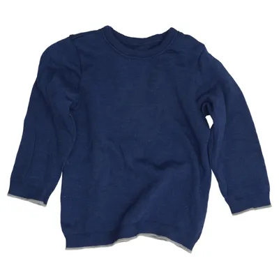 Sweater (Blue) from Disana Wool