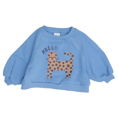 Sweatshirt (Blue, Multicolored) from Next Cotton, Recycled polyester