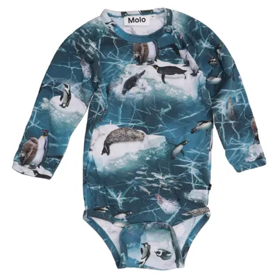 Body (Field) from Molo Cotton, Elastane