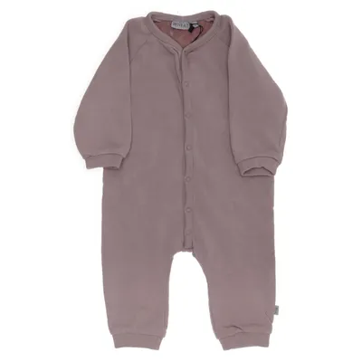 Barboteuse (Rose) de Wheat Laine