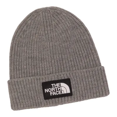 Beanie (Gray) from The North Face