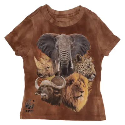 T-shirt (Brown, Multicolored) from The Mountain Cotton